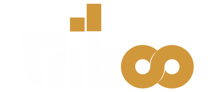 Projeto Multpla Logo Triboo Branco