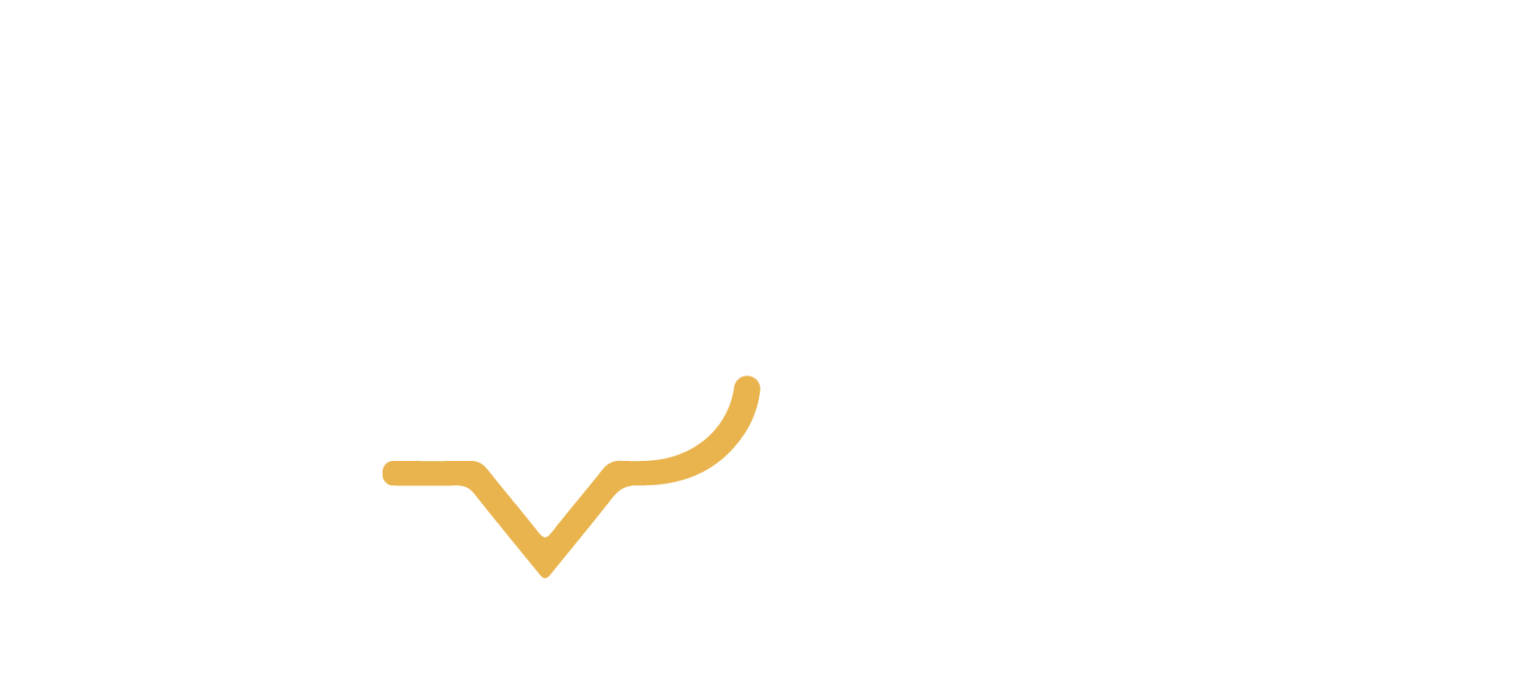 2logo_horizontal_VHE_branco-amarelo